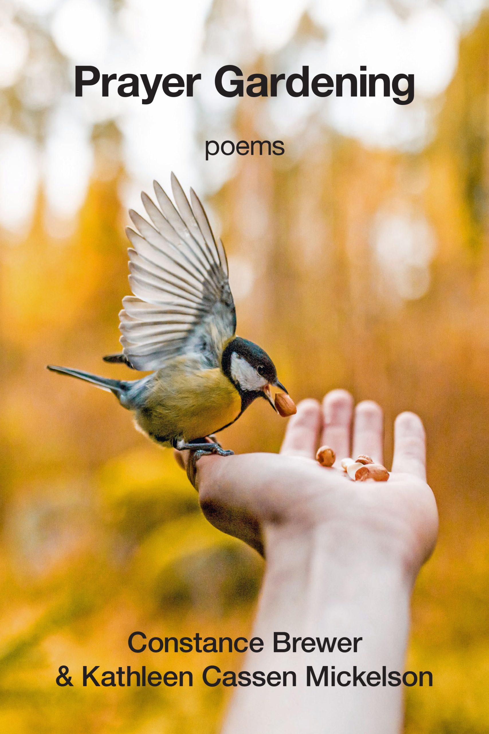 New Poetry Chapbook – Prayer Gardening