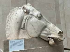Horse head from Parthenon, British Museum